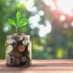 Crown CFO Fractional Services