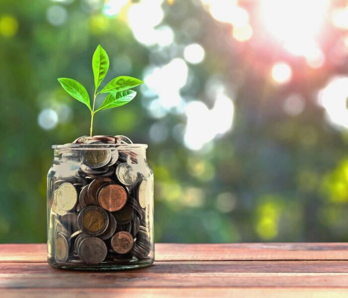 Crown CFO Fractional Services